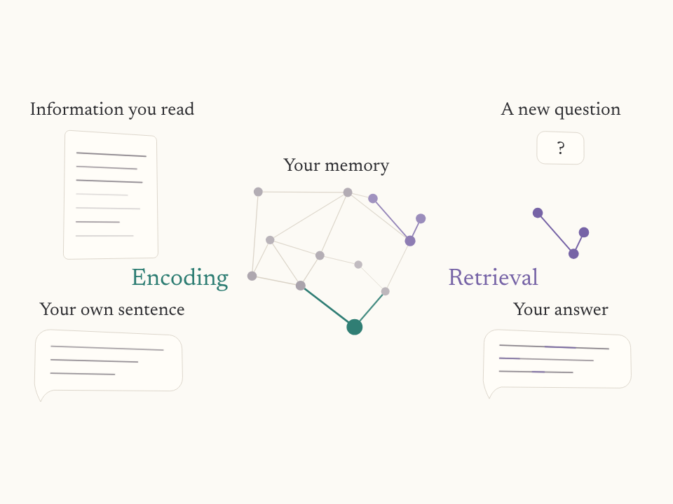 Information is rephrased in your own words, encoded into your memory as a new connection, and retrieved in response to a question.